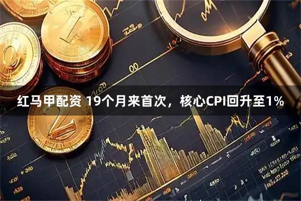 红马甲配资 19个月来首次，核心CPI回升至1%
